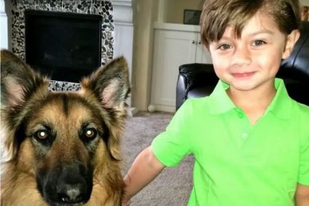 Moreno Valley Animal Hospital
