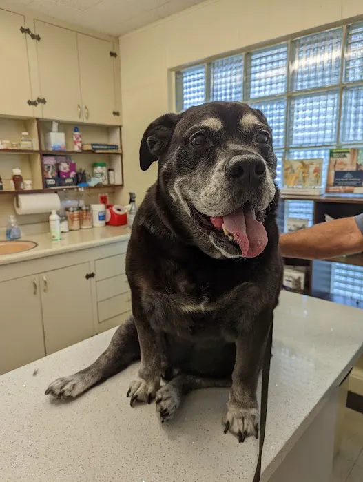 Moreno Valley Animal Hospital 9