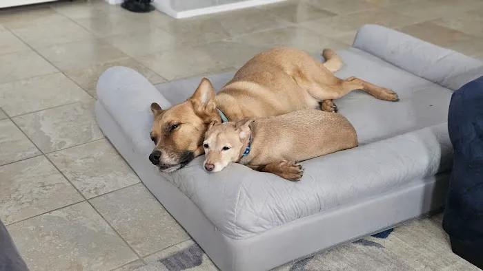 Banfield Pet Hospital 7