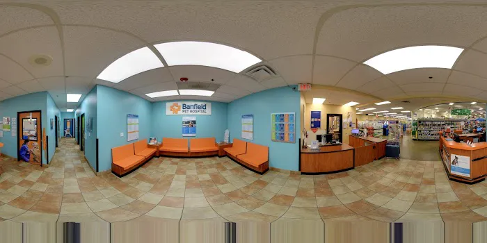 Banfield Pet Hospital 3
