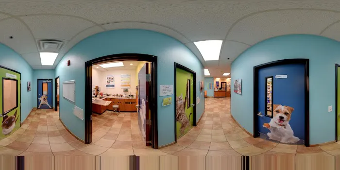 Banfield Pet Hospital 2