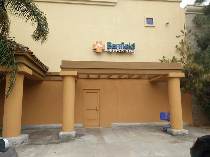 Banfield Pet Hospital 6