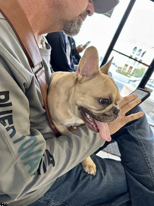 Loma Linda Animal Hospital 6