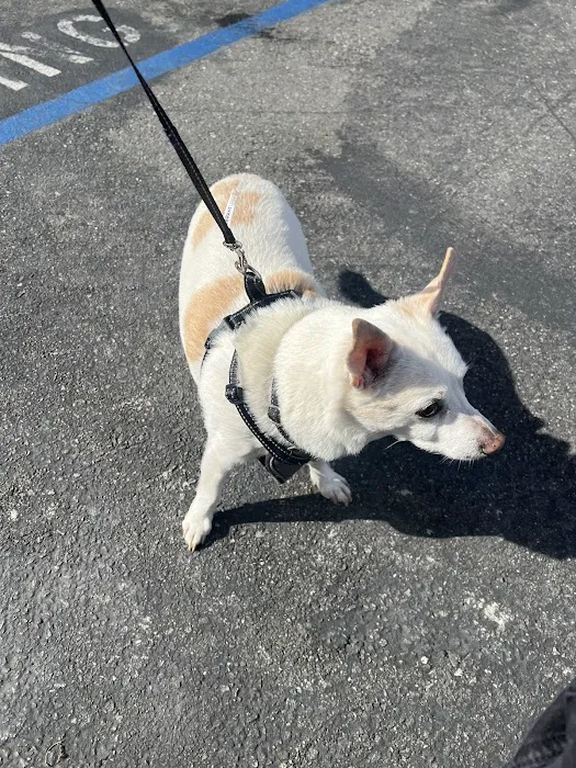 Loma Linda Animal Hospital 9
