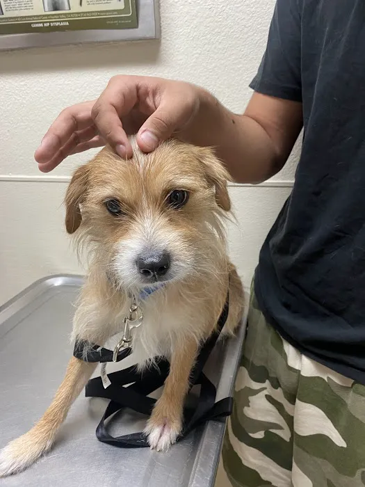Loma Linda Animal Hospital 2