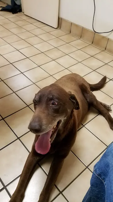 Loma Linda Animal Hospital 4