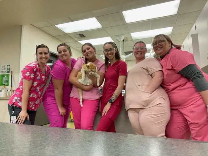 Moreno Valley Community Vet Care 4