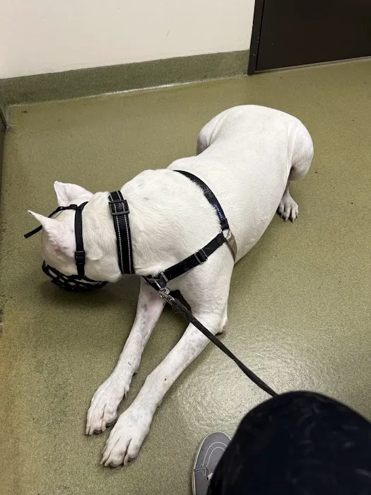 Moreno Valley Community Vet Care 5