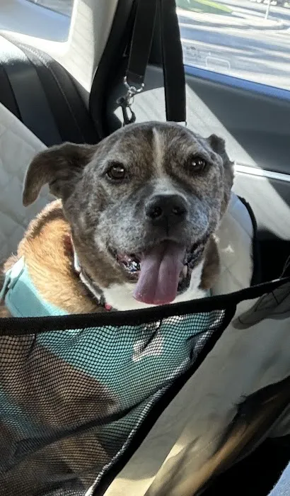 Moreno Valley Animal Clinic 4