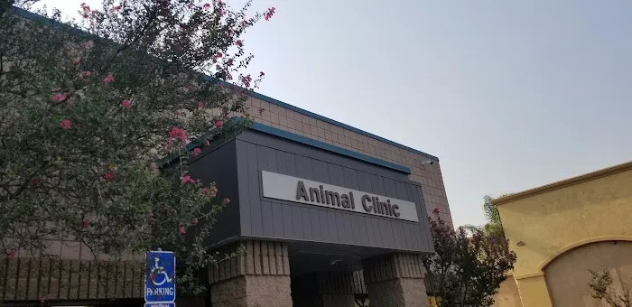 Moreno Valley Animal Clinic 2