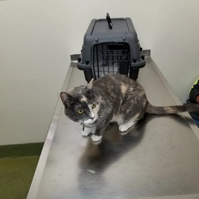 Moreno Valley Animal Clinic 10