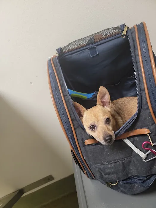 Moreno Valley Animal Clinic 6