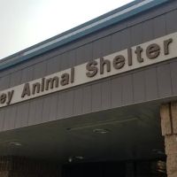 Moreno Valley Animal Clinic ico