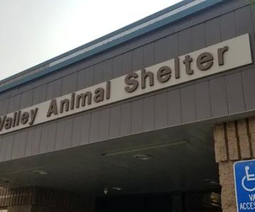 Moreno Valley Animal Clinic