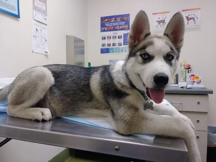 Moreno Valley Animal Clinic 5