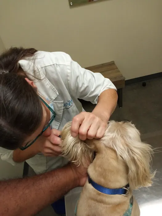 Vetco Total Care Animal Hospital 5