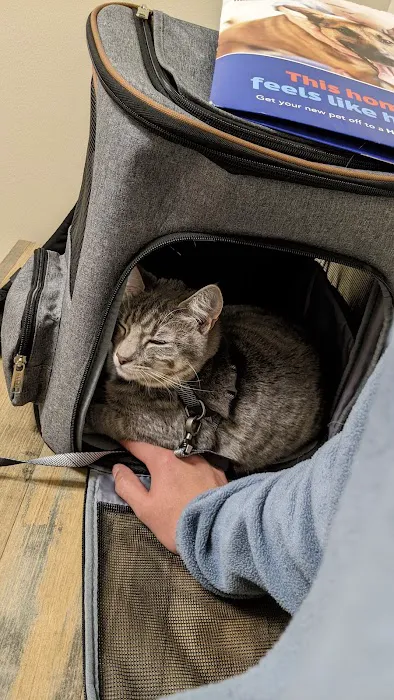 Vetco Total Care Animal Hospital 7