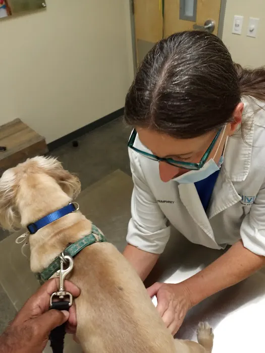 Vetco Total Care Animal Hospital 6