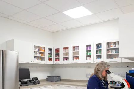 Cypress Veterinary Hospital