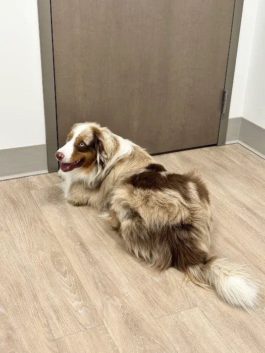 Cypress Veterinary Hospital 12