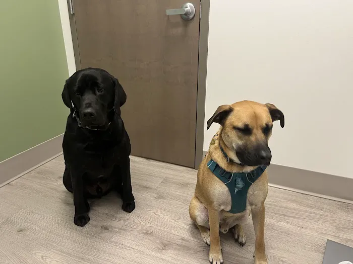 Cypress Veterinary Hospital 12