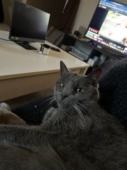 Bellingham Veterinary: Edmund Sullivan, DVM 12