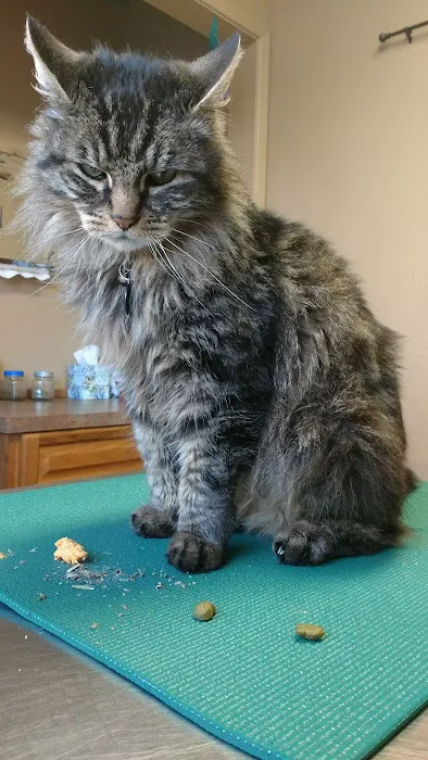 Chuckanut Valley Feline Center 12