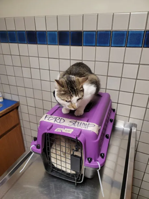 Fountain Veterinary Hospital 12