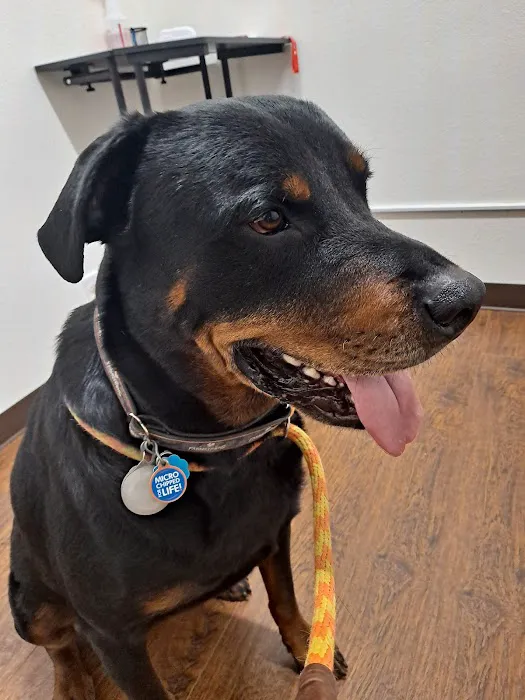 Meridian Street Veterinary 12