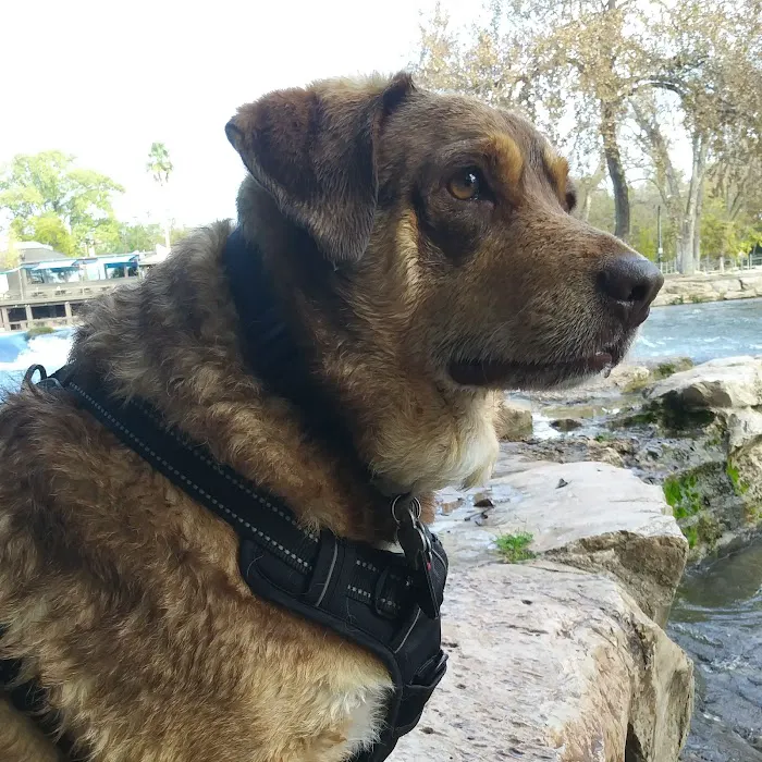 Giddings Veterinary Clinic 9