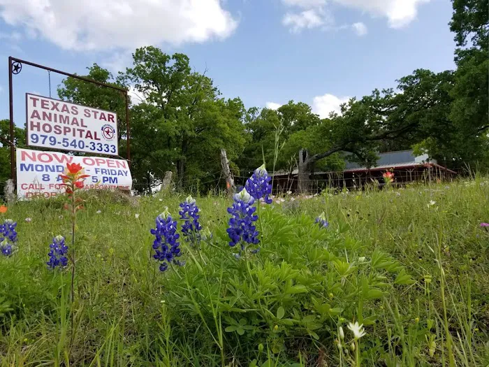 Texas Star Animal Hospital 3