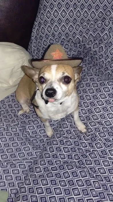 Texas Star Animal Hospital 10