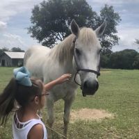 Shiner Animal Hospital ico