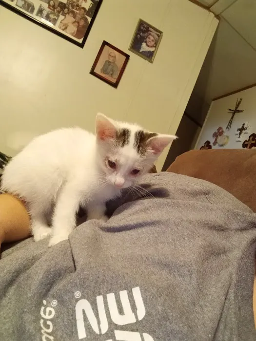 Shiner Animal Hospital 12