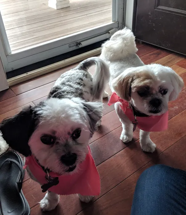 Eastport Animal Hospital 12