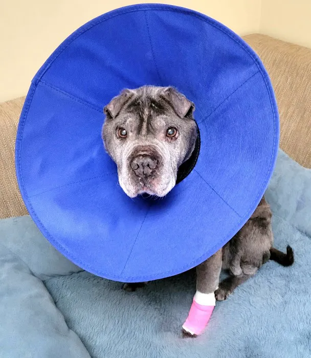 Eastport Animal Hospital 12