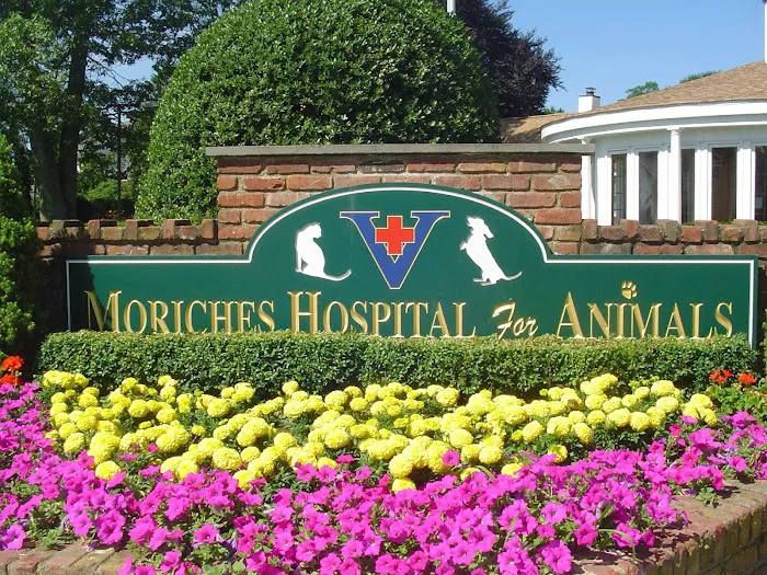 The Moriches Hospital For Animals 12