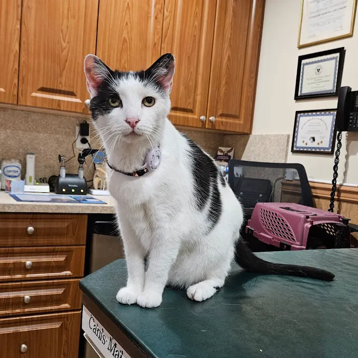 The Moriches Hospital For Animals 12