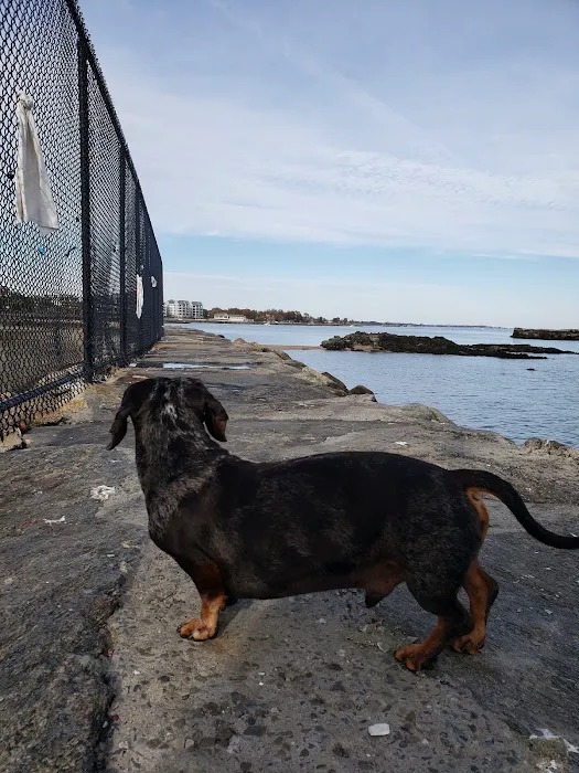 The Moriches Hospital For Animals 12