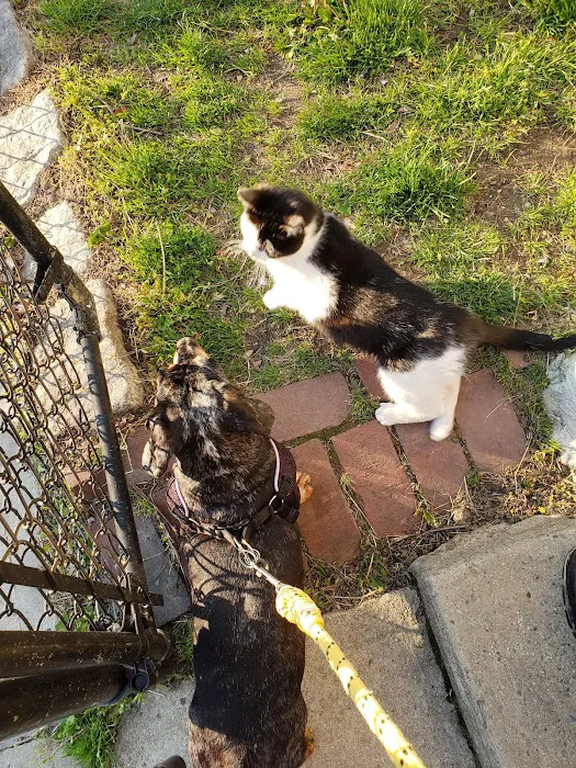 The Moriches Hospital For Animals 12