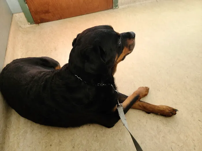 Hampton Veterinary Hospital 12