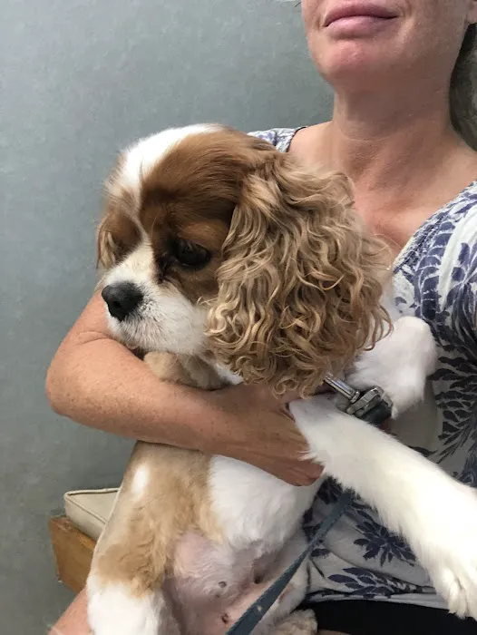 Hampton Veterinary Hospital 12