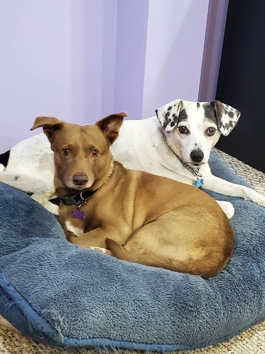 Hampton Veterinary Hospital 12