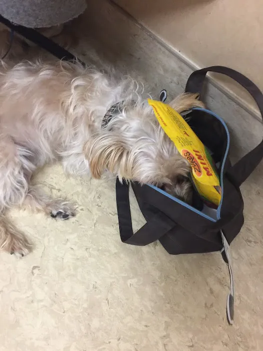 Hampton Veterinary Hospital 12