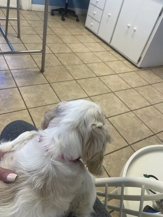 Aquebogue Veterinary Hospital 7
