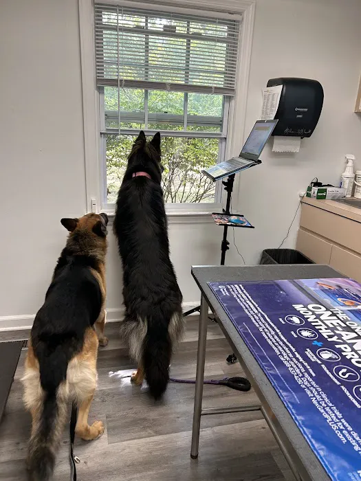 Bideawee Animal Hospital 1