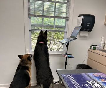 Bideawee Animal Hospital