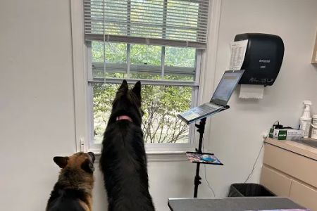 Bideawee Animal Hospital