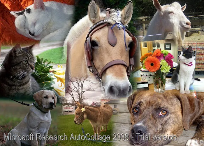 Mattituck-Laurel Veterinary Hospital 7