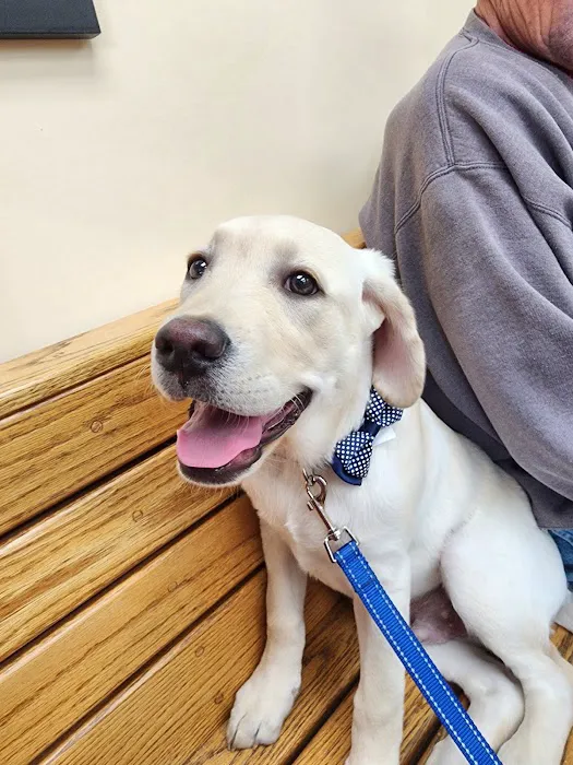 Mattituck-Laurel Veterinary Hospital 6